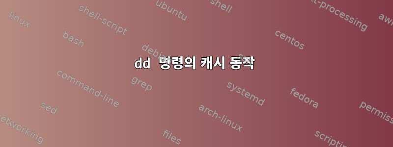 dd 명령의 캐시 동작