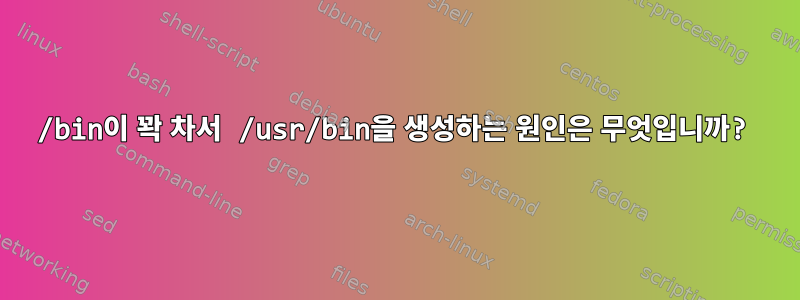 /bin이 꽉 차서 /usr/bin을 생성하는 원인은 무엇입니까?