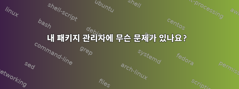 내 패키지 관리자에 무슨 문제가 있나요?