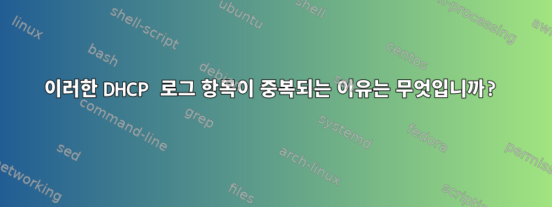 이러한 DHCP 로그 항목이 중복되는 이유는 무엇입니까?