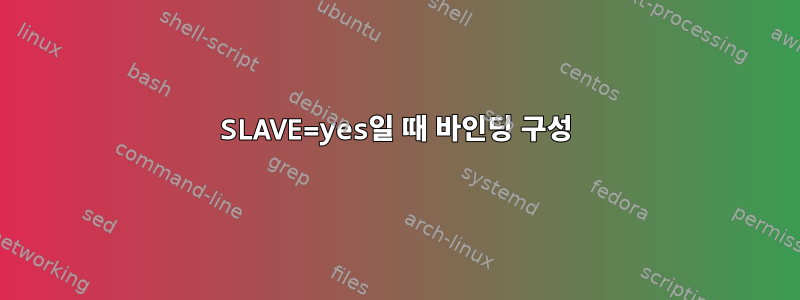 SLAVE=yes일 때 바인딩 구성