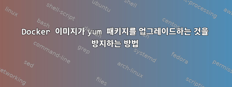 Docker 이미지가 yum 패키지를 업그레이드하는 것을 방지하는 방법