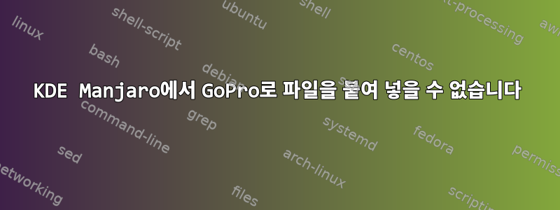 KDE Manjaro에서 GoPro로 파일을 붙여 넣을 수 없습니다