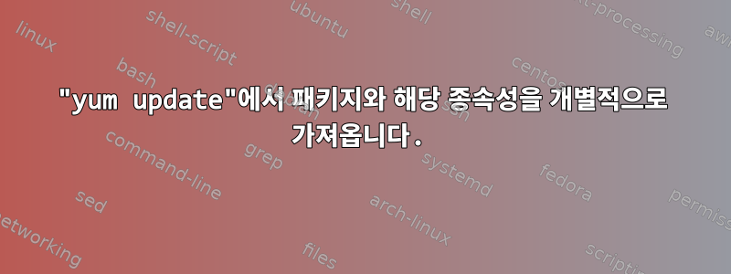 "yum update"에서 패키지와 해당 종속성을 개별적으로 가져옵니다.