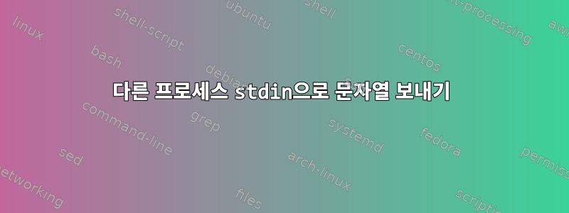 다른 프로세스 stdin으로 문자열 보내기