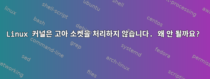 Linux 커널은 고아 소켓을 처리하지 않습니다. 왜 안 될까요?