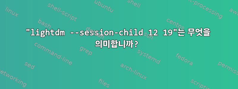 "lightdm --session-child 12 19"는 무엇을 의미합니까?