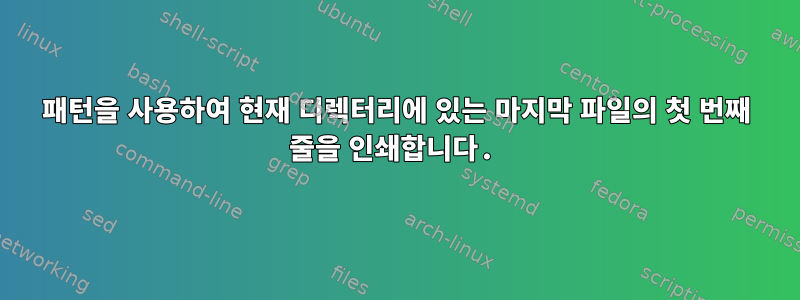 패턴을 사용하여 현재 디렉터리에 있는 마지막 파일의 첫 번째 줄을 인쇄합니다.