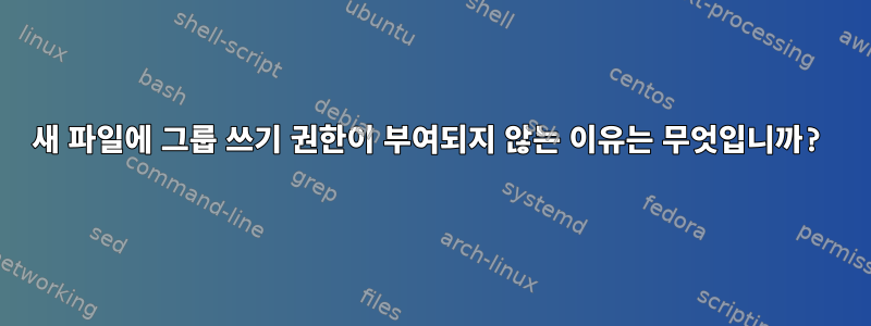 새 파일에 그룹 쓰기 권한이 부여되지 않는 이유는 무엇입니까?