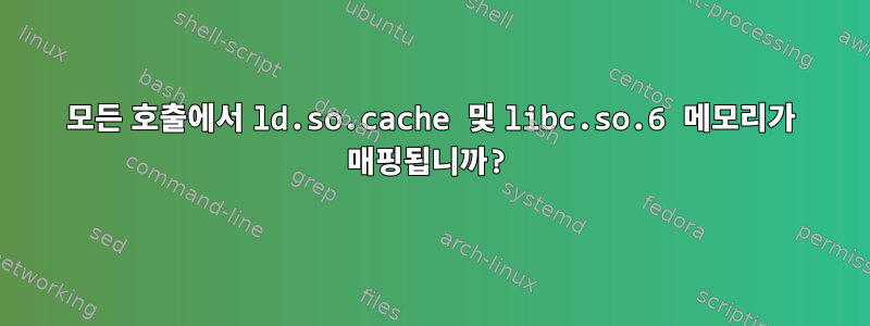 모든 호출에서 ld.so.cache 및 libc.so.6 메모리가 매핑됩니까?