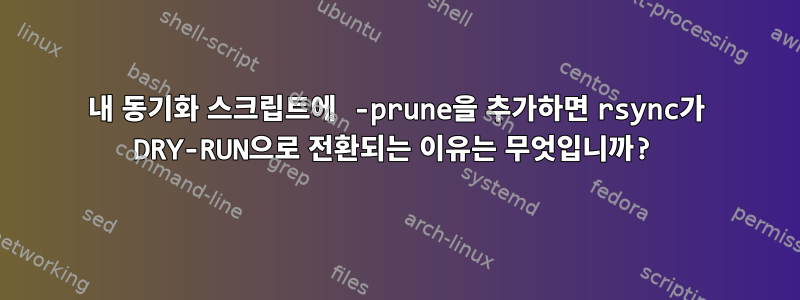 내 동기화 스크립트에 -prune을 추가하면 rsync가 DRY-RUN으로 전환되는 이유는 무엇입니까?