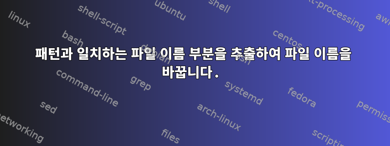 패턴과 일치하는 파일 이름 부분을 추출하여 파일 이름을 바꿉니다.