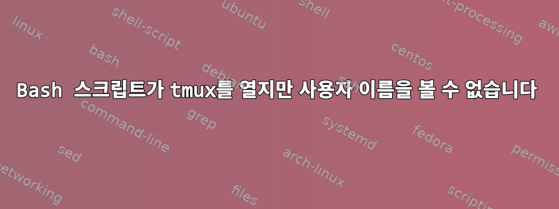 Bash 스크립트가 tmux를 열지만 사용자 이름을 볼 수 없습니다