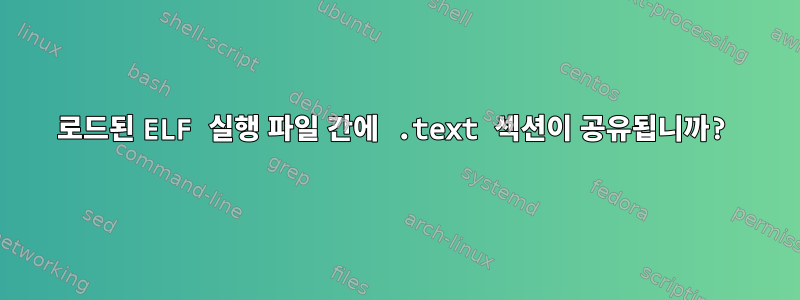 로드된 ELF 실행 파일 간에 .text 섹션이 공유됩니까?