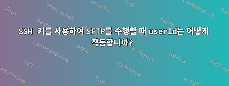 SSH 키를 사용하여 SFTP를 수행할 때 userId는 어떻게 작동합니까?