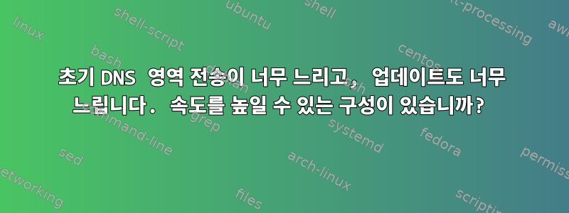 초기 DNS 영역 전송이 너무 느리고, 업데이트도 너무 느립니다. 속도를 높일 수 있는 구성이 있습니까?