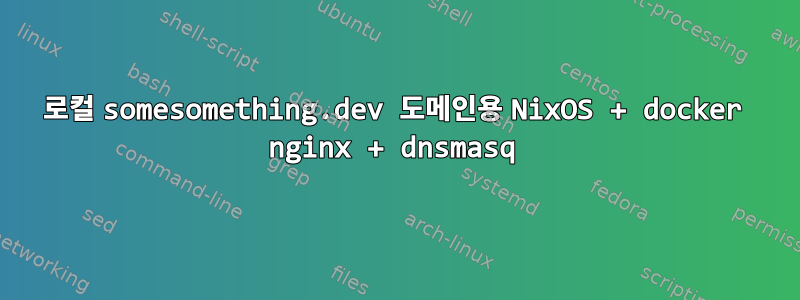 로컬 somesomething.dev 도메인용 NixOS + docker nginx + dnsmasq