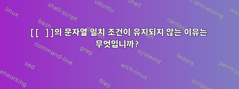 [[ ]]의 문자열 일치 조건이 유지되지 않는 이유는 무엇입니까?