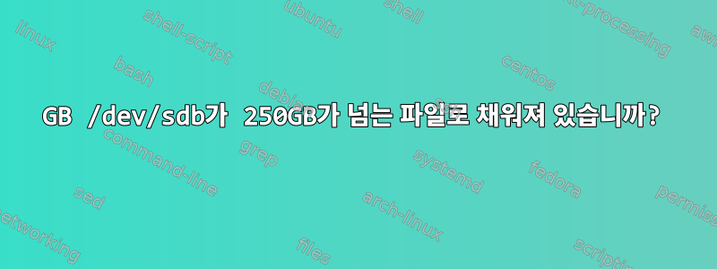 50GB /dev/sdb가 250GB가 넘는 파일로 채워져 있습니까?