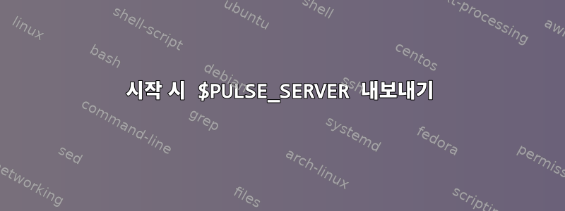 시작 시 $PULSE_SERVER 내보내기