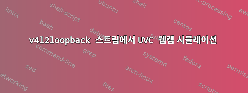 v4l2loopback 스트림에서 UVC 웹캠 시뮬레이션