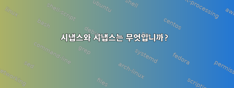 시냅스와 시냅스는 무엇입니까?