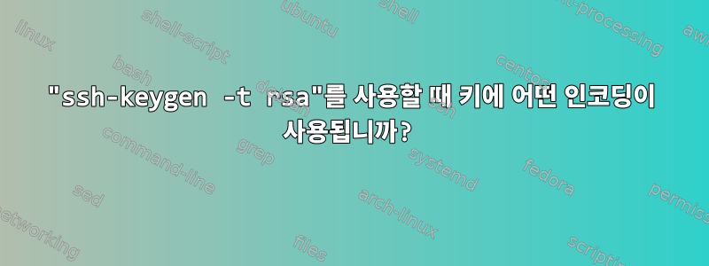 "ssh-keygen -t rsa"를 사용할 때 키에 어떤 인코딩이 사용됩니까?