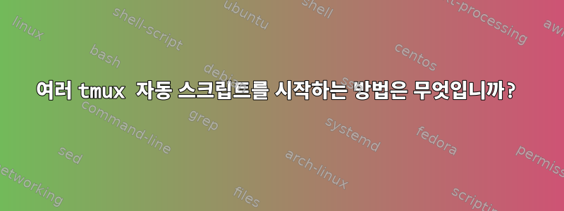 여러 tmux 자동 스크립트를 시작하는 방법은 무엇입니까?