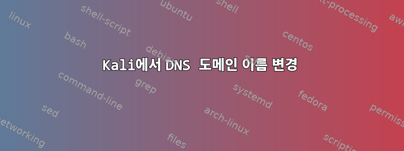 Kali에서 DNS 도메인 이름 변경