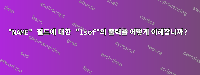 "NAME" 필드에 대한 "lsof"의 출력을 어떻게 이해합니까?