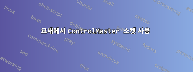 요새에서 ControlMaster 소켓 사용