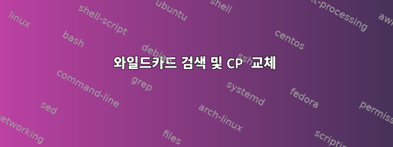 와일드카드 검색 및 CP 교체