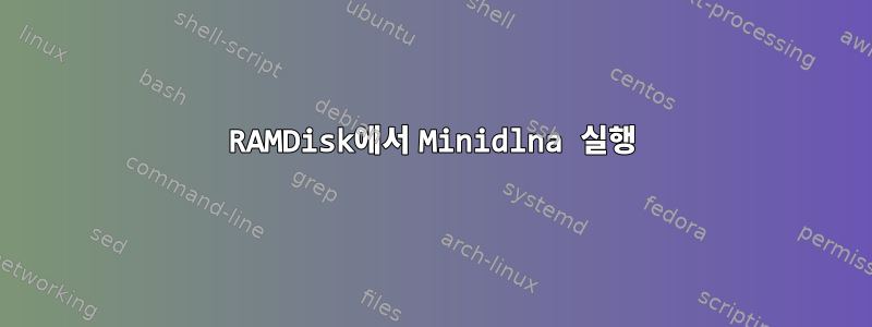 RAMDisk에서 Minidlna 실행