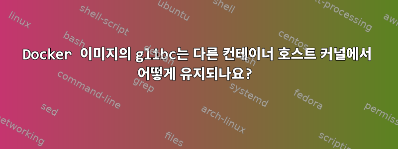 Docker 이미지의 glibc는 다른 컨테이너 호스트 커널에서 어떻게 유지되나요?