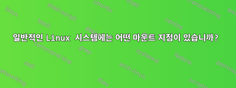 일반적인 Linux 시스템에는 어떤 마운트 지점이 있습니까?