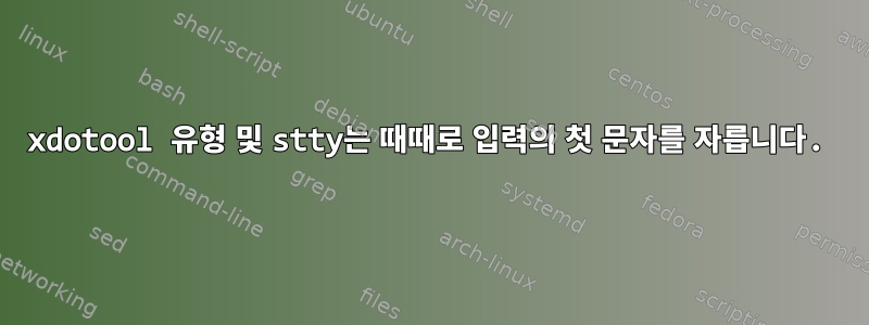 xdotool 유형 및 stty는 때때로 입력의 첫 문자를 자릅니다.