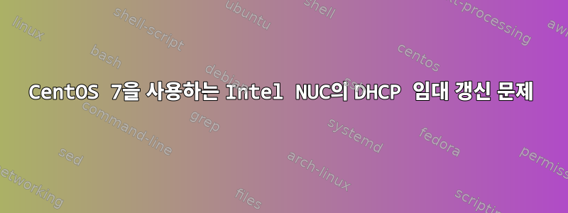 CentOS 7을 사용하는 Intel NUC의 DHCP 임대 갱신 문제