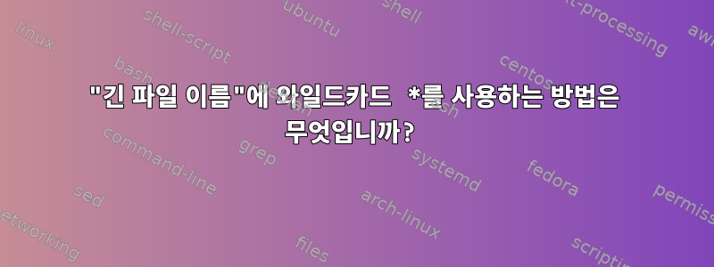 "긴 파일 이름"에 와일드카드 *를 사용하는 방법은 무엇입니까?