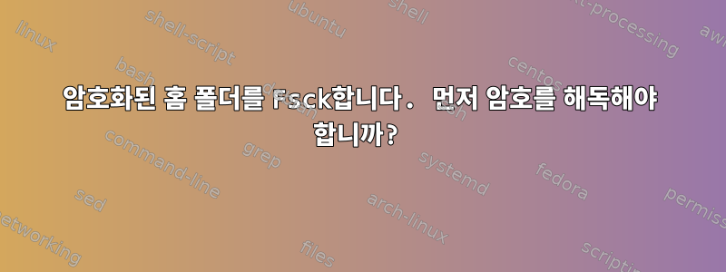 암호화된 홈 폴더를 Fsck합니다. 먼저 암호를 해독해야 합니까?