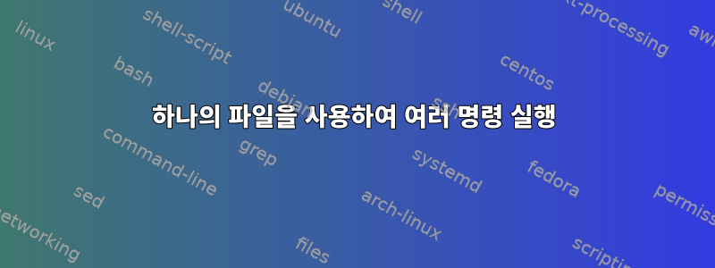 하나의 파일을 사용하여 여러 명령 실행