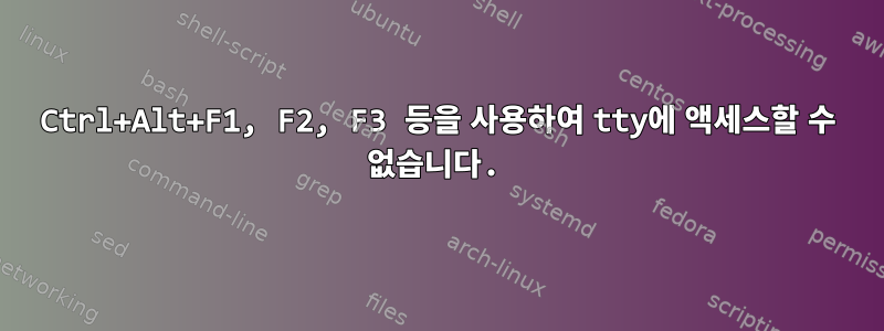 Ctrl+Alt+F1, F2, F3 등을 사용하여 tty에 액세스할 수 없습니다.