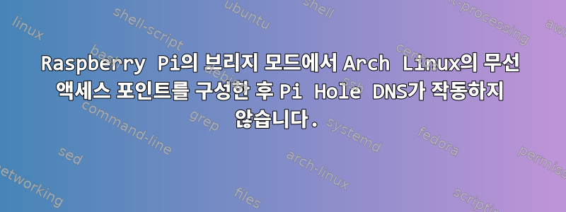 Raspberry Pi의 브리지 모드에서 Arch Linux의 무선 액세스 포인트를 구성한 후 Pi Hole DNS가 작동하지 않습니다.