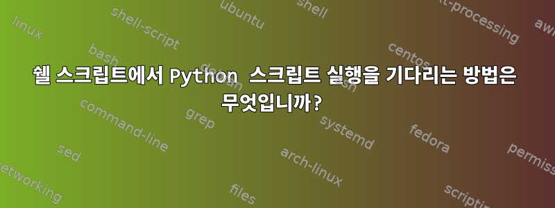 쉘 스크립트에서 Python 스크립트 실행을 기다리는 방법은 무엇입니까?