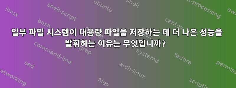 일부 파일 시스템이 대용량 파일을 저장하는 데 더 나은 성능을 발휘하는 이유는 무엇입니까?