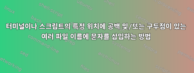 터미널이나 스크립트의 특정 위치에 공백 및/또는 구두점이 있는 여러 파일 이름에 문자를 삽입하는 방법