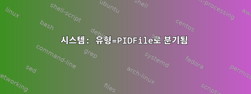 시스템: 유형=PIDFile로 분기됨