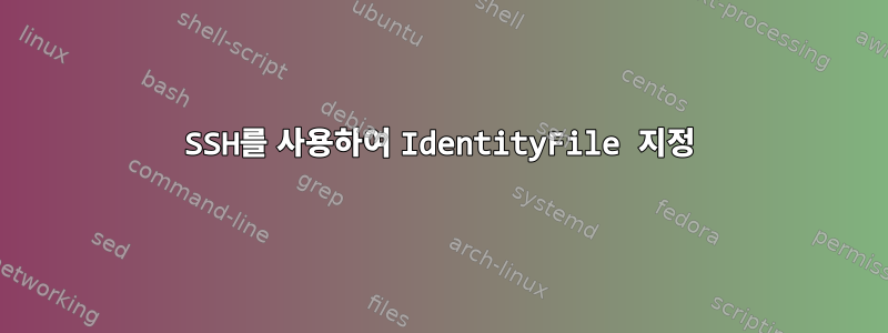 SSH를 사용하여 IdentityFile 지정