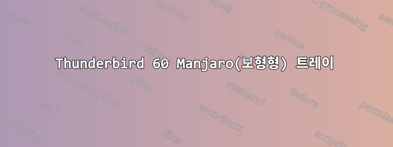 Thunderbird 60 Manjaro(보형형) 트레이