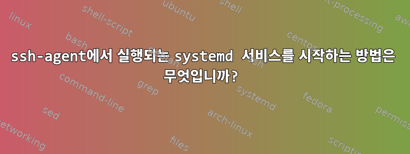 ssh-agent에서 실행되는 systemd 서비스를 시작하는 방법은 무엇입니까?