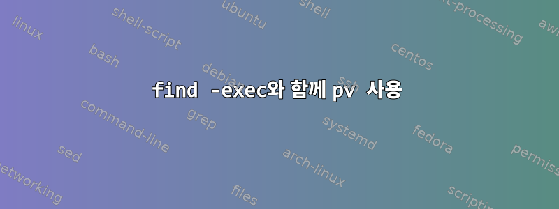 find -exec와 함께 pv 사용